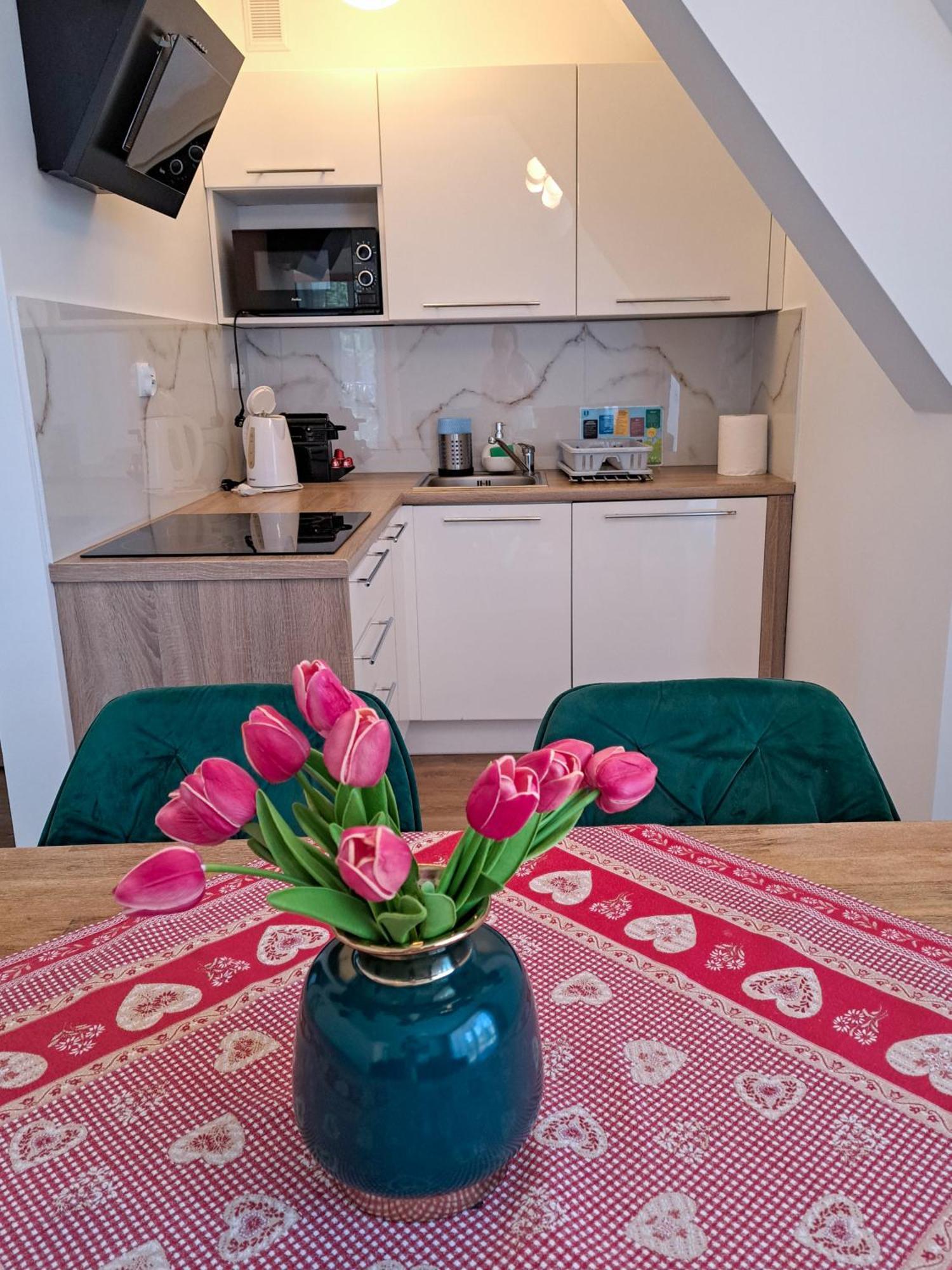 Bory6A Apartamenty & Free Parking Zakopane Exteriör bild
